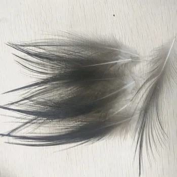 50 BUC de rare culoare Naturala pană la 4 la 6 cm / 10 la 15 de centimetri frumos Heron Pene