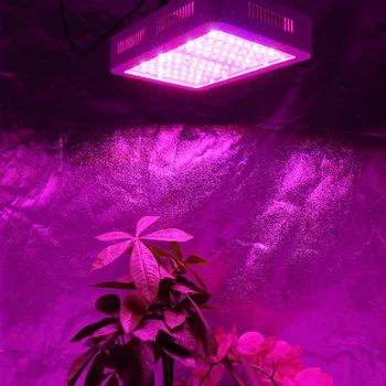 2 buc/lot 1000W LED-uri Cresc Lumini întregul Spectru Dublu Chip de Creștere Fito Lampa pentru Cultivo cu efect de Seră Hidroponică Cort Plante de Interior